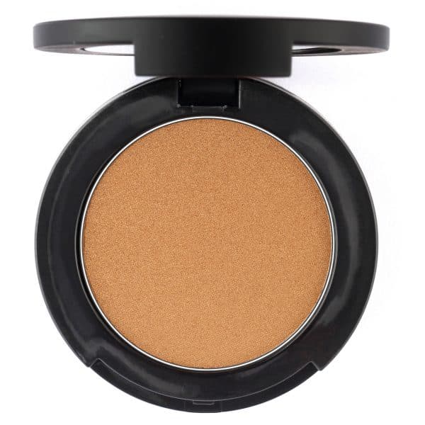 TARA BRONZER